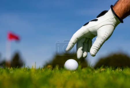 Foto de Golfer man with golf glove. Hand putting golf ball on tee in golf course - Imagen libre de derechos