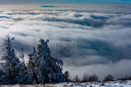 Photo for Winter with covered frost trees in the snowdrifts. Magical winter forest. Natural landscape with beautiful sky. Winter scene with snowy forest - Royalty Free Image