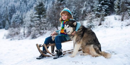 Photo for Child on sleigh play with dog outside. Winter, holiday and Christmas children. Kids hug embrace dog husky - Royalty Free Image