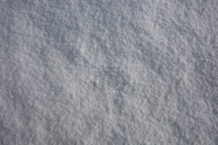 Téléchargez les photos : Fond de neige. L'hiver. Fond blanc. Texture neige. Glace fond neigeux - en image libre de droit