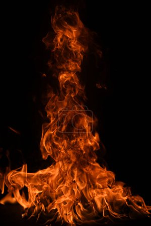 Téléchargez les photos : Le feu, la flamme ardente. Grand feu flamboyant - en image libre de droit