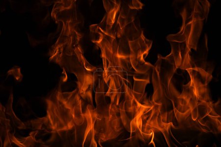 Téléchargez les photos : Le feu, la flamme ardente. Grand feu flamboyant - en image libre de droit