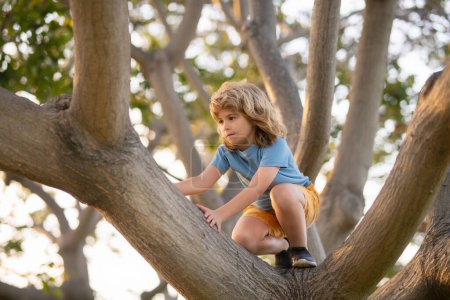 Photo for Kid climbing on a tree branch outdoor - Royalty Free Image