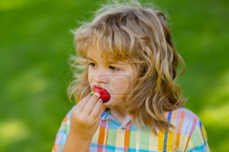 Téléchargez les photos : Close up kids face with strawberry in mouth. Child eat strawberry berries in the summer. Kid is picking berry strawberry in the garden. Summer kid face - en image libre de droit