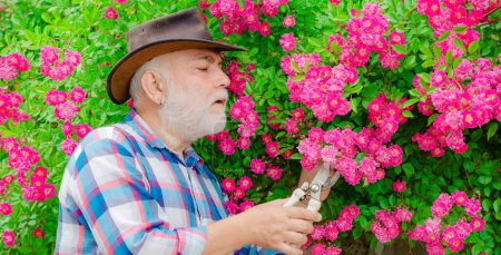 Photo for Retired gardener senior portrait, spring banner. Happy farmer in cowboy hat having fun on field. Retirement planning. Grandfather. Gardener cutting flowers in his garden - Royalty Free Image