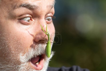 Foto de Mantis on face. Comic and humor sense. Surprised old men with beard and mustache with big scary mantis on face. Insects concept - Imagen libre de derechos