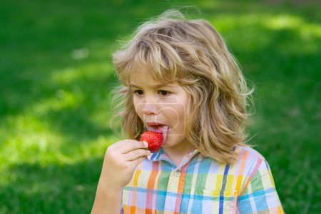 Photo for Summer cute kid face. Strawberry fot kids. Happy kid eating ripe, sweet, juicy, fresh strawberry. Child holding strawberries. Concept of healthy summer berries strawberries - Royalty Free Image