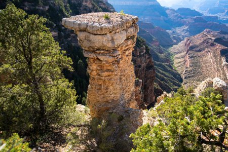 Foto de Rock canyon, rocky mountains. Canyon National Park. View of a desert mountain. Famous american hiking place - Imagen libre de derechos