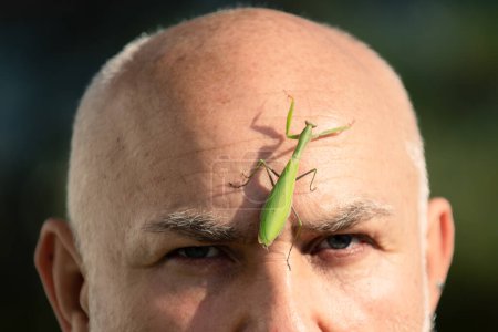Photo for Insects concept. Mantis on head, close up. Comic and humor sense. Surprised old men with big mantis on face. Funny story and humor. Comic idea - Royalty Free Image