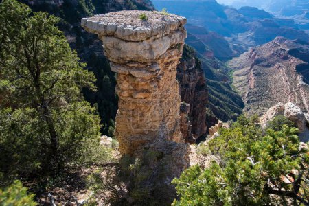Photo for Scenic view of Grand Canyon. Overlook panoramic view National Park in Arizona - Royalty Free Image