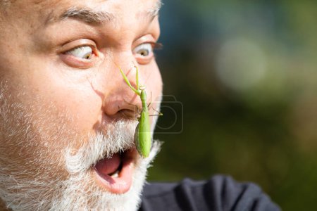 Foto de Closeup mantis on face. Comic and humor sense. Surprised senior men with beard and mustache with big mantis on face. Insects concept - Imagen libre de derechos