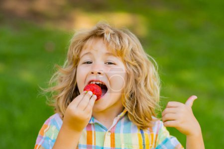 Foto de Strawberry fot kids. Happy kid eating ripe, sweet, juicy, fresh strawberry. Child holding strawberries. Concept of healthy summer berries strawberries - Imagen libre de derechos