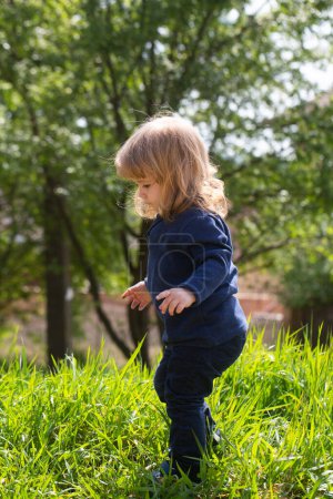 Photo for Baby child in grass on the fieald at summer. Cute kid walking outdoors. Baby walking in park - Royalty Free Image