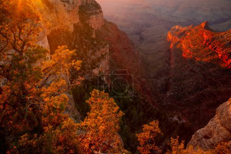 Téléchargez les photos : Grand Canyon rebord nord au coucher du soleil doré, Arizona. Paysage du Grand Canyon. Vue panoramique du parc national de l'Arizona - en image libre de droit