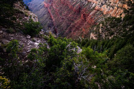 Foto de Vista panorámica del Gran Cañón. Vistas panorámicas al Parque Nacional en Arizona. Vista del valle al atardecer - Imagen libre de derechos