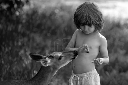 Foto de Unidad con la naturaleza. Lindo niño alimentando a un cervatillo. Un chico guapo con un animal elegante en el parque. Adaptación infantil - Imagen libre de derechos