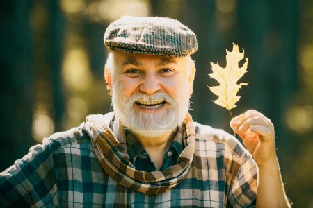 Téléchargez les photos : Homme âgé en promenade dans une forêt dans une nature d'automne tenant des feuilles. Homme âgé souriant tenant des feuilles jaunes d'automne au parc. Portrait d'un homme âgé en plein air marchant dans un parc - en image libre de droit