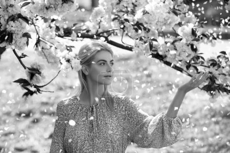 Foto de Chicas de primavera en flores. Hermosa mujer en el jardín de flores de cerezo en un día de primavera, pétalos de flores que caen del árbol - Imagen libre de derechos