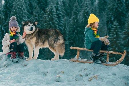 Foto de Niños amigos de invierno, Austria. Niños felices con perro fastidioso en el bosque nevado en la estación fría. Viajes aventura niños - Imagen libre de derechos
