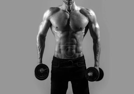 Photo for Sexy sporty torso, man with dumbbells. Muscular man working out in studio doing exercises, strong male naked torso abs - Royalty Free Image