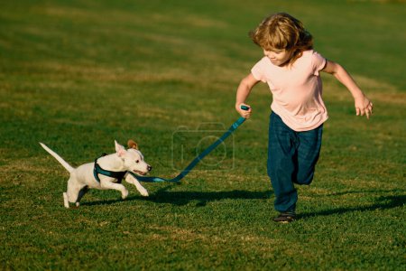 Foto de Niño corriendo y jugando con el perro en el césped en el parque. Mascota con dueño. El perrito ha levantado una cola - Imagen libre de derechos