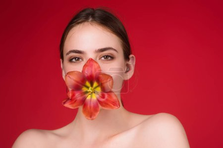 Téléchargez les photos : Valentines Day. Beauty girl with tulip in mouth. Beautiful sensual woman hold tulips, studio portrait on red background - en image libre de droit