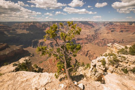 Foto de Grand Canyon National Park, North Rim. Canyon desert panoramic landscape. National Park, Arizona - Imagen libre de derechos