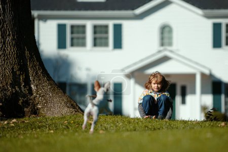 Foto de Niño lindo jugando con el perro chihuahua en el césped del patio trasero - Imagen libre de derechos