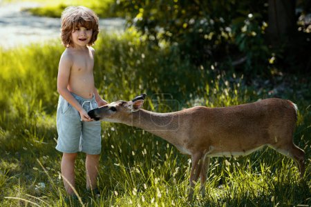 Foto de Lindo niño alimentando a un cervatillo. Un chico guapo con un animal elegante en el parque. Adaptación infantil. - Imagen libre de derechos