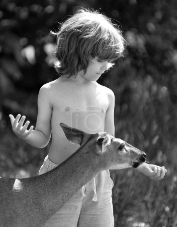 Foto de Lindo chico alimentando a un cervatillo. Niño bonito con animal agraciado en el parque o en el bosque. Adaptación infantil - Imagen libre de derechos