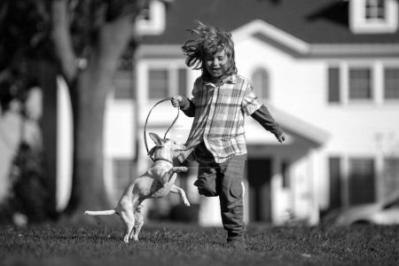 Foto de Perro con correa corriendo con manillar. Niño sobre un fondo de césped verde patio trasero en un día soleado verano. Pequeño cachorro persiguiendo bebé - Imagen libre de derechos
