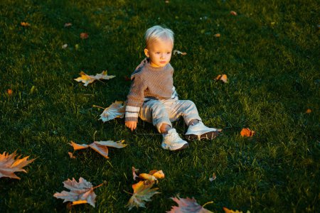 Téléchargez les photos : Bébé garçon heureux se trouve parmi les feuilles tombées et l'herbe verte. Temps libre automnal. Automne chaud et ensoleillé. Joyeux petit enfant qui se repose dehors. Promenade amusante dans le parc automnal - en image libre de droit