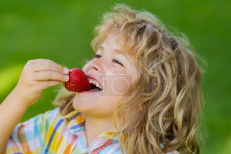 Photo for The child is picking strawberry in the garden. Happy little child with strawberries outdoors. Kid picking and eating ripe strawberry in summer park. Healthy strawberry fruit. Summer kid face - Royalty Free Image