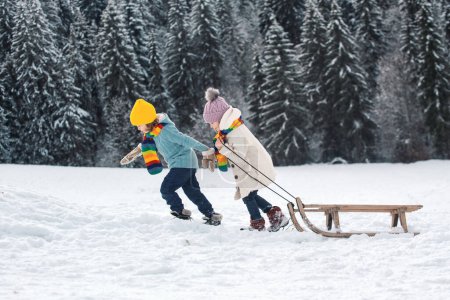 Foto de Niños divertidos trineo y jugar en invierno bosque nevado - Imagen libre de derechos
