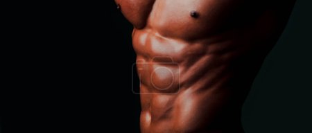 Photo for Banner templates with muscular man, muscular torso, six pack abs muscle - Royalty Free Image