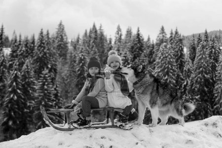 Foto de Feliz pareja de niños pequeños con perro haski en el parque natural del bosque en la estación fría. Viajes aventura niños - Imagen libre de derechos