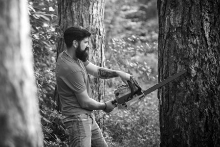 Téléchargez les photos : Ouvrier bûcheron avec tronçonneuse dans la forêt. Bûcheron dans les bois avec hache de tronçonneuse. Bûcheron avec tronçonneuse sur fond de forêt - en image libre de droit