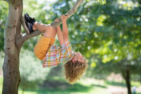 Téléchargez les photos : Drôle d'enfant grimpant à un arbre dans le jardin. Un gamin actif jouant dehors. Portrait de garçon mignon assis sur le rameau le jour de l'été - en image libre de droit