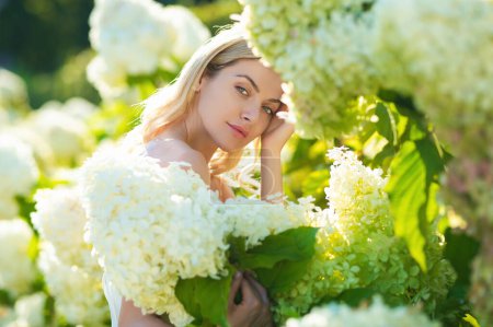 Foto de Sensual woman in blooming bush of hydrangea flowers in summer garden. Big white Hydrangeas shrubs flowers. Attractive woman hold bouquet of white hydrangea - Imagen libre de derechos