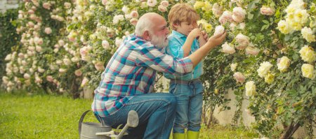 Photo for Planting flowers. Grandfather and grandson in beautiful garden. Senior man with grandson gardening in garden. Grandfather and grandson on sky background, spring banner - Royalty Free Image