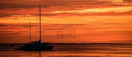 Photo for Travel yachting cruise. Sailboats at sunset. Ocean yacht sailing along water - Royalty Free Image