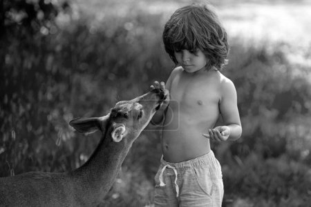 Foto de Lindo niño alimentando a un cervatillo bebé en el bosque. Un chico guapo con un animal elegante en el parque. Adaptación infantil - Imagen libre de derechos