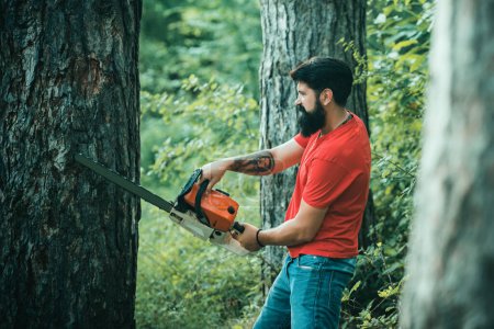 Téléchargez les photos : Ouvrier bûcheron avec tronçonneuse dans la forêt. Bûcheron dans les bois avec hache de tronçonneuse. Bûcheron avec tronçonneuse sur fond de forêt - en image libre de droit