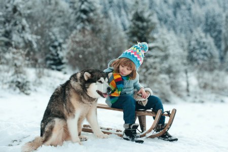 Photo for Winter knitted kids clothes. Boy sledding in a snowy forest with dog husky. Outdoor winter fun for Christmas vacation - Royalty Free Image