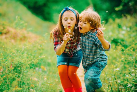 Téléchargez les photos : Des enfants marchant dans un champ d'été. Petits amis soufflant des graines de pissenlit ensemble dans un parc. Enfants souriants et riants passer du bon temps dehors par une journée chaude d'été - en image libre de droit