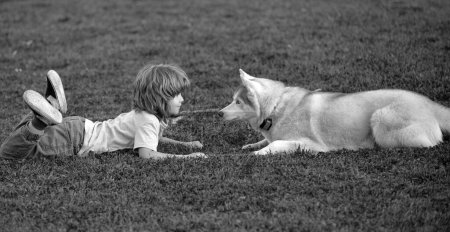 Photo for Child with a dog. Kid with a puppy dog outdoor playing at backyard lawn. Fun games with pet on summer vacation. Husky dog and child looking each other - Royalty Free Image