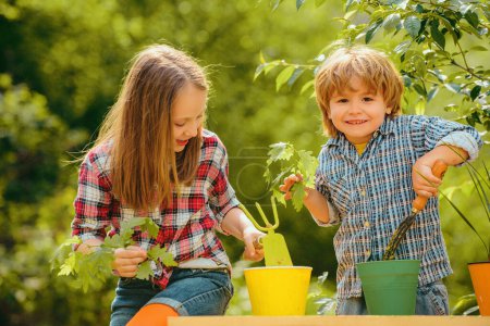Foto de Niños plantando flores en maceta. Niños felices en el campo de verano. Niños y verduras en la granja. Lindos niños disfrutando en la granja - Imagen libre de derechos