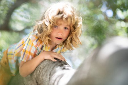 Photo for Kid boy playing and climbing a tree and hanging branch - Royalty Free Image