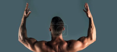Téléchargez les photos : Modèles de bannière avec homme musclé, torse musculaire, muscle du dos - en image libre de droit