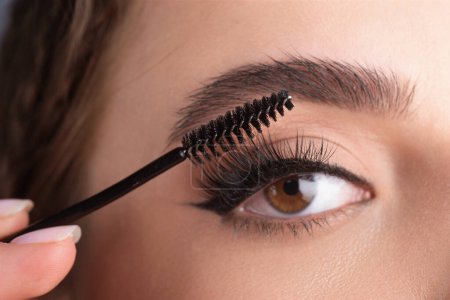 Photo for Closeup eyebrows with eyebrow brush. Close up brows, eyebrows lamination. Brow procedures. Long eyelashes, eyebrows, macro - Royalty Free Image